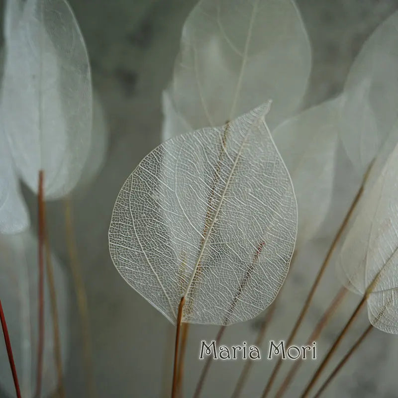 Home Decoration Lucency Leaves Natural Leaf Vein Immortal Artificial Flowers Wedding Table Decoration Wire Stem