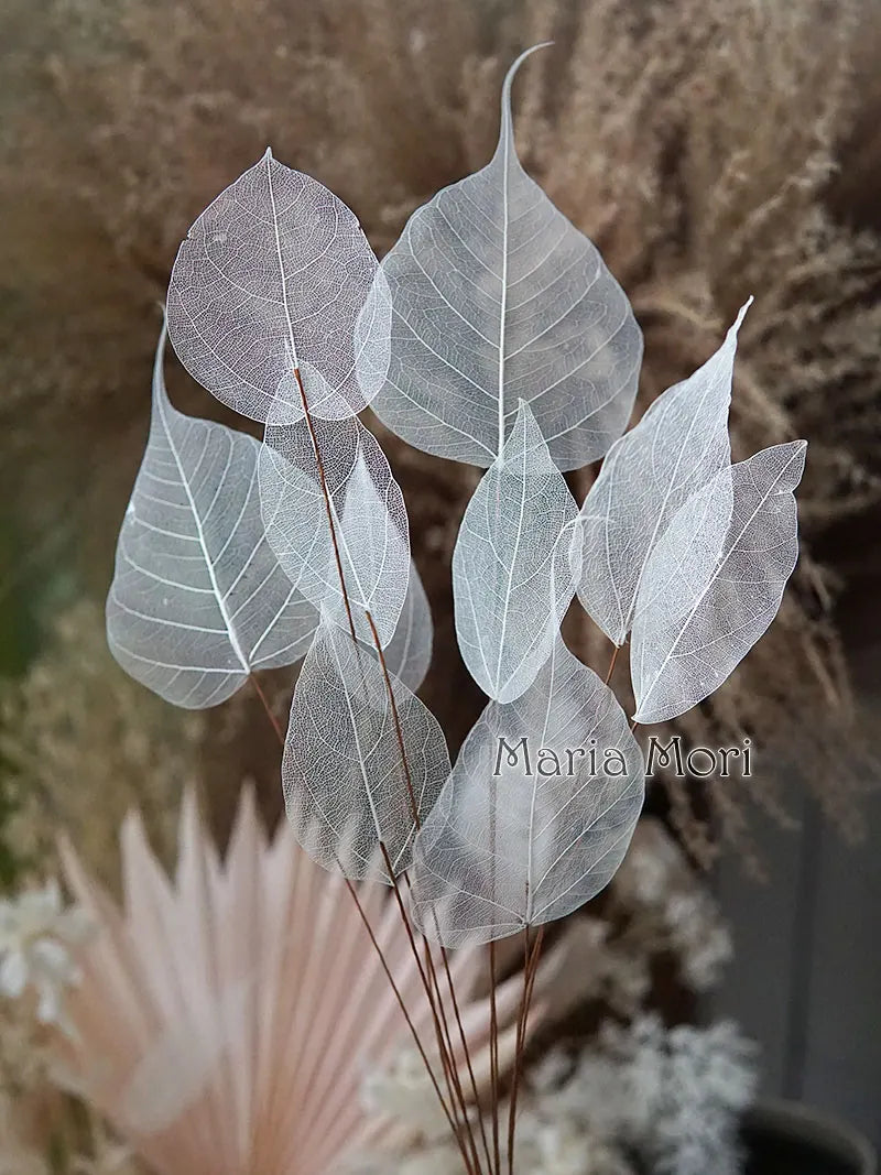 Home Decoration Lucency Leaves Natural Leaf Vein Immortal Artificial Flowers Wedding Table Decoration Wire Stem