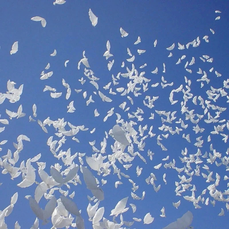 10Pcs Flying White Dove Foil Helium Balloons Peace Bird Pigeon Inflatable Globos for Wedding Valentine's Day Decoration Supplies