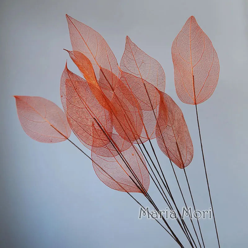 Home Decoration Lucency Leaves Natural Leaf Vein Immortal Artificial Flowers Wedding Table Decoration Wire Stem