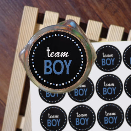 24/48pcs Team Boy Team Girl Stickers Boy or Girl Vote Sticker for Gender Reveal Party Creative Decoration Baby Shower Supplies 6