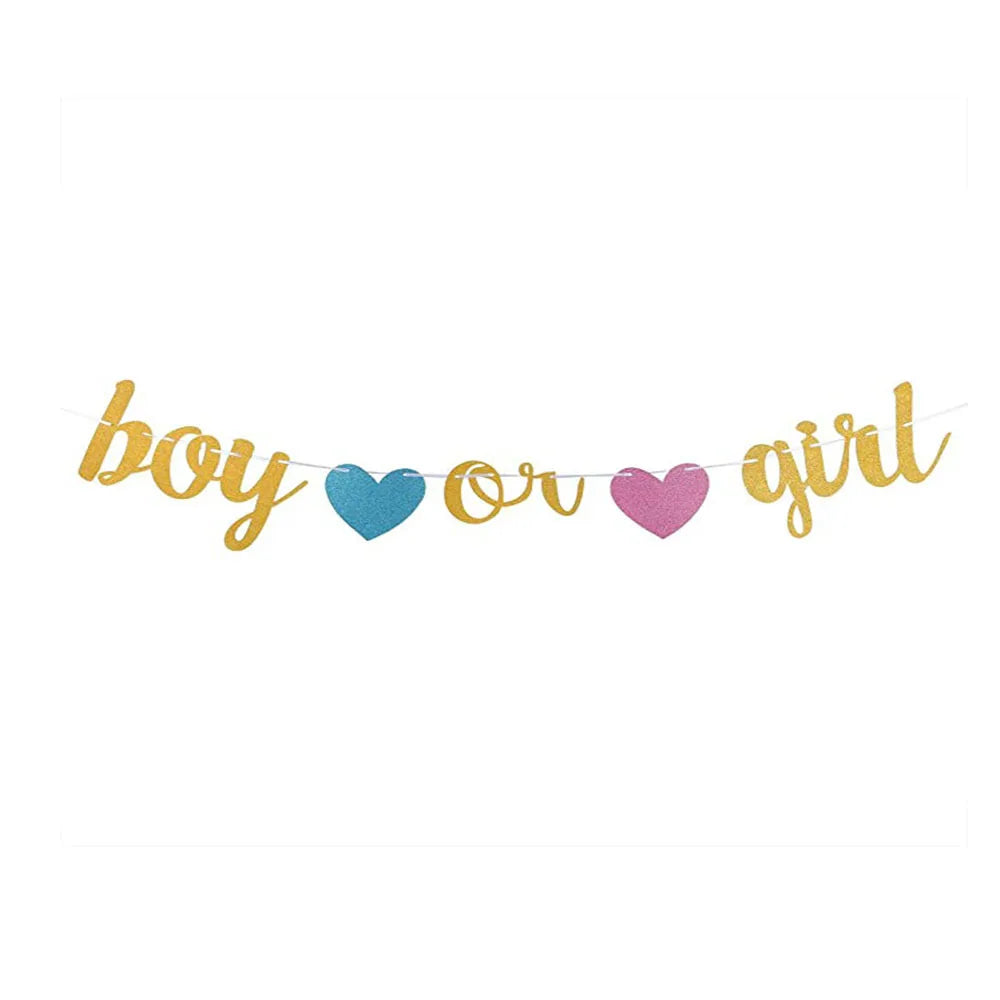Gender Reveal Party Supplies Oh Baby Boy or Girl Banner Ceiling Hanging Decor Backdrop Pink Blue Tassel Baby Shower Decoration