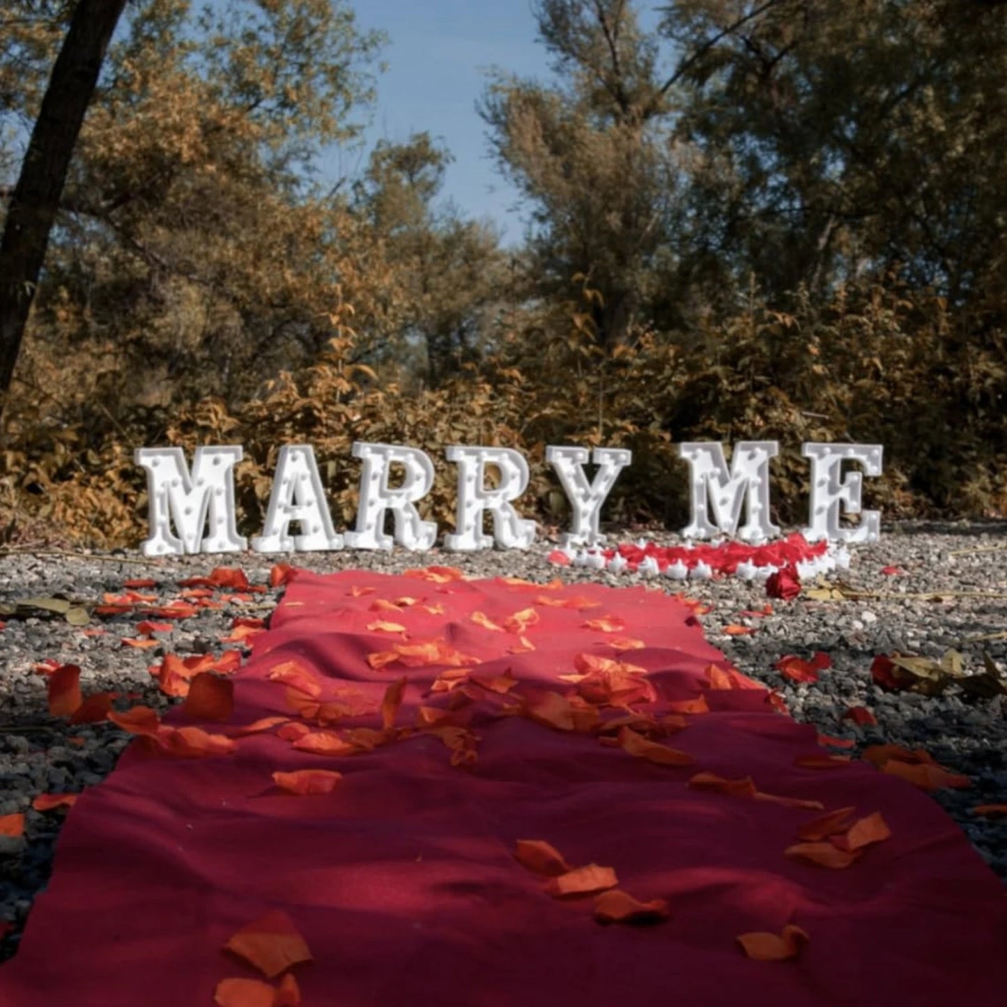 Proposal Decorations Kit Marry Me Light Up Letters 2000 Rose Petals 24 Flameless Candles for Valentine Day Proposal  Engagement