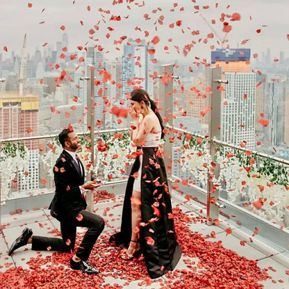 Lots Artificial Fake Rose Petals Red Roses Petal Flower Simulation Silk Petals for Valentine's Day Wedding Party Christmas Decor