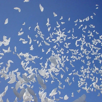 10Pcs Flying White Dove Foil Helium Balloons Peace Bird Pigeon Inflatable Globos for Wedding Valentine's Day Decoration Supplies