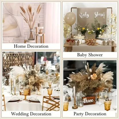 165PCS Pampas Grass Dried Flowers Boho Farmhouse Country Wedding Home Room Decor Bouquet Bunny Tail Grass DIY Artificial Flowers