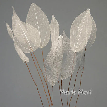 Home Decoration Lucency Leaves Natural Leaf Vein Immortal Artificial Flowers Wedding Table Decoration Wire Stem
