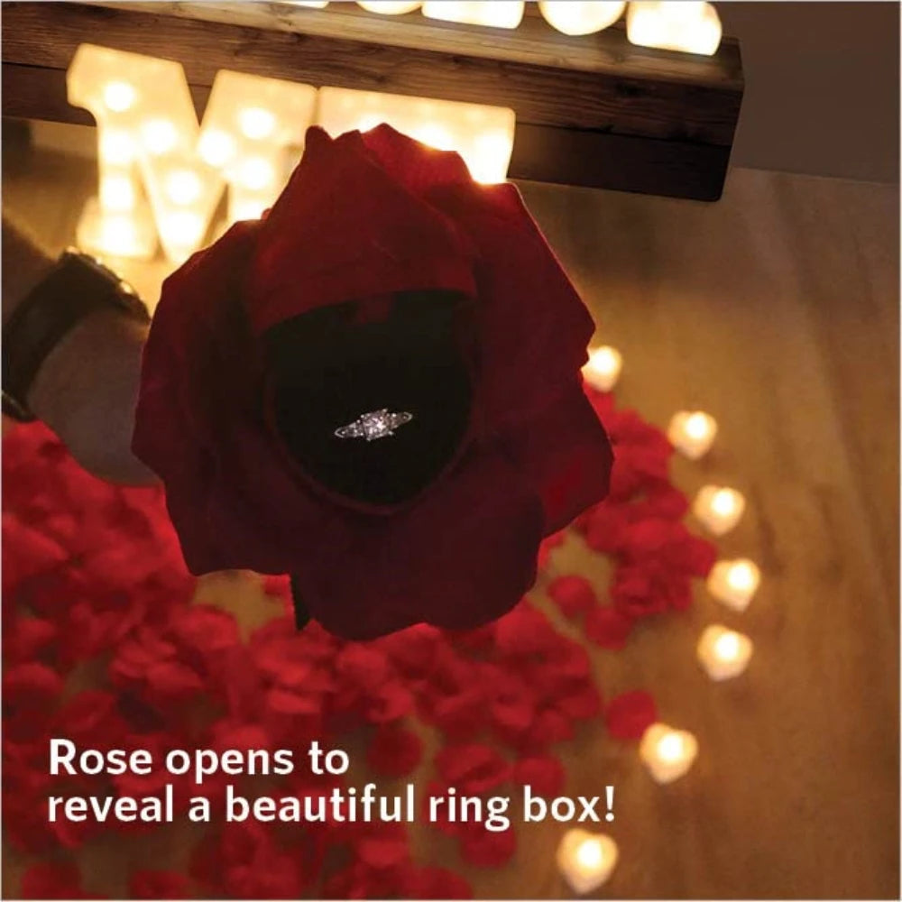 Proposal Decorations Kit Marry Me Light Up Letters 2000 Rose Petals 24 Flameless Candles for Valentine Day Proposal  Engagement