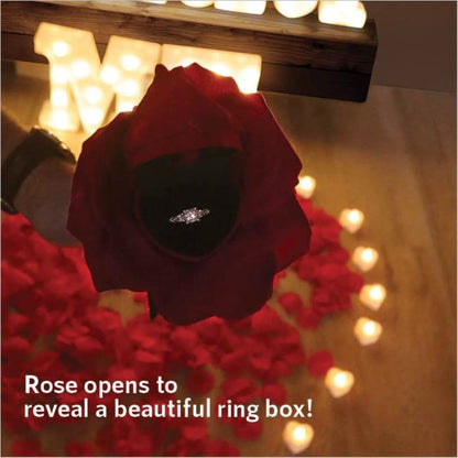 Proposal Decorations Kit Marry Me Light Up Letters 2000 Rose Petals 24 Flameless Candles for Valentine Day Proposal  Engagement