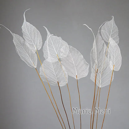 Home Decoration Lucency Leaves Natural Leaf Vein Immortal Artificial Flowers Wedding Table Decoration Wire Stem