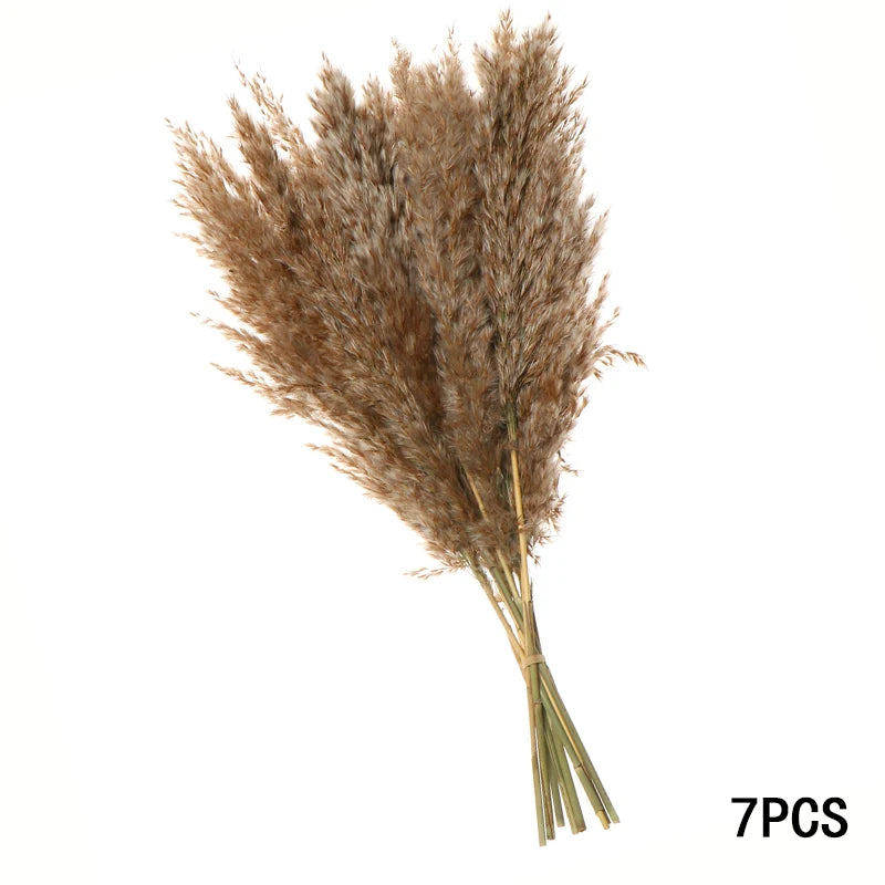165PCS Pampas Grass Dried Flowers Boho Farmhouse Country Wedding Home Room Decor Bouquet Bunny Tail Grass DIY Artificial Flowers