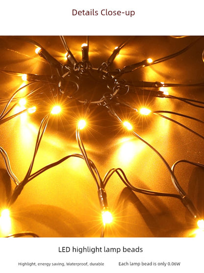 Dining Room Wall Indoor and Outdoor Atmosphere Layout Decorative Lights