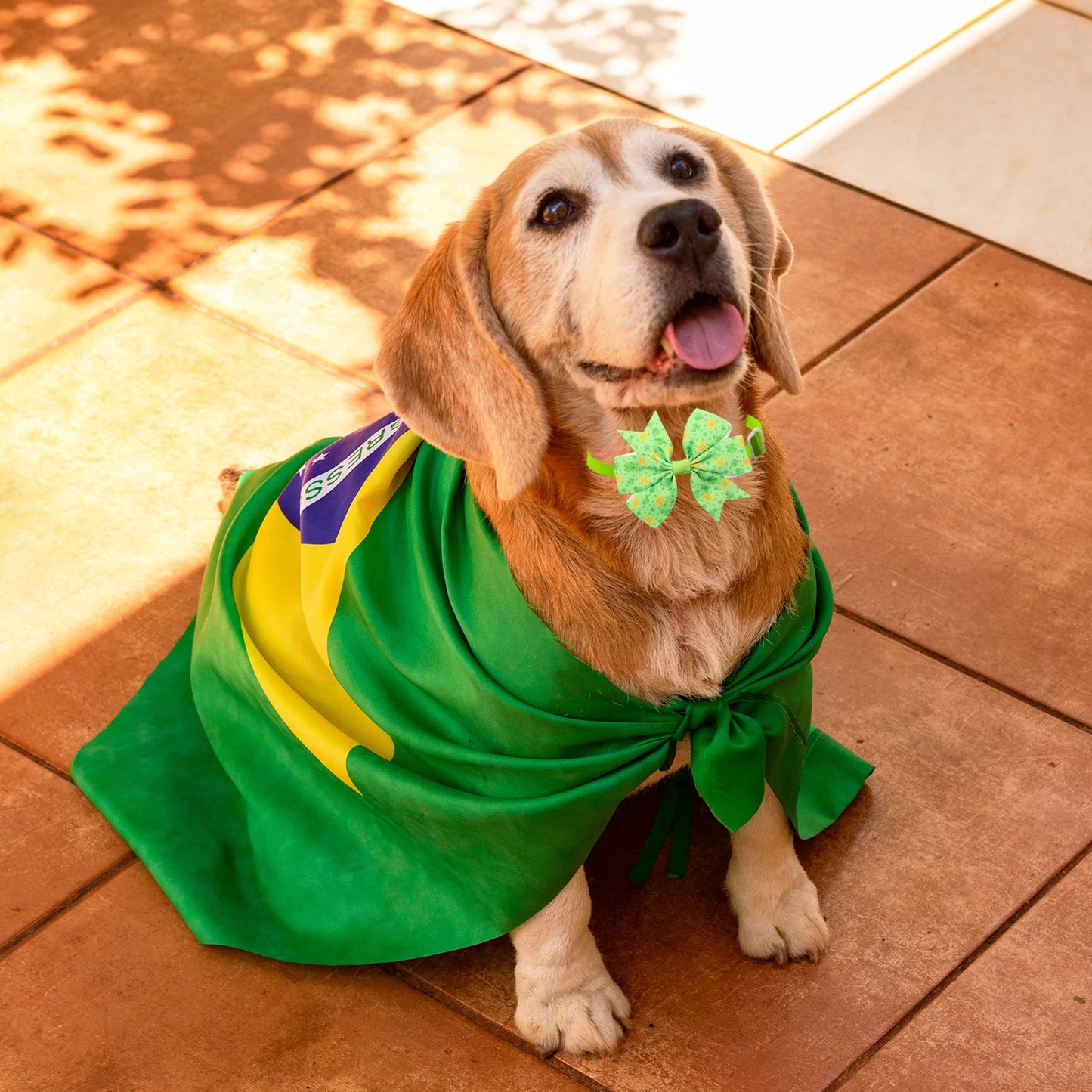 50/100Pcs Saint Patrick Dog Bows Pets St. Patrick's Day Grooming Bows Adjustable Dog Bowties Clover Dog Neckties Accessories