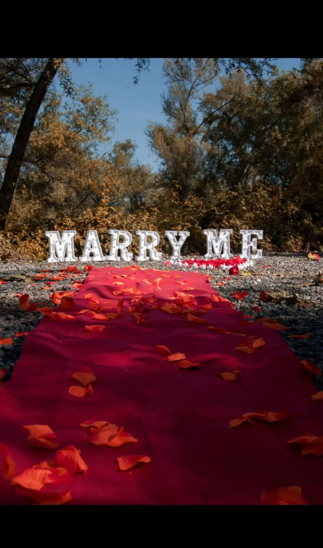 Proposal Decorations Kit Marry Me Light Up Letters 2000 Rose Petals 24 Flameless Candles for Valentine Day Proposal  Engagement