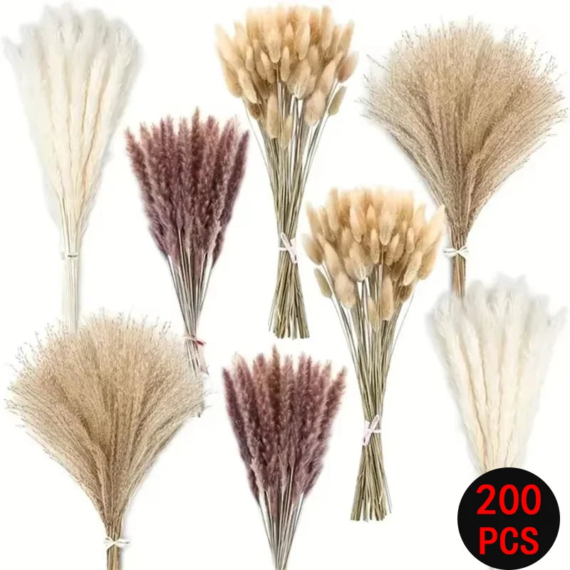 165PCS Pampas Grass Dried Flowers Boho Farmhouse Country Wedding Home Room Decor Bouquet Bunny Tail Grass DIY Artificial Flowers